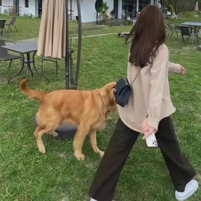 内心之火